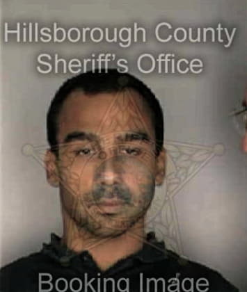 Ramis Mercado - Hillsborough County, FL 