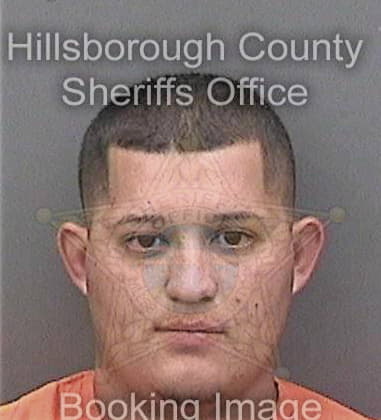 Michael Paschall, - Hillsborough County, FL 