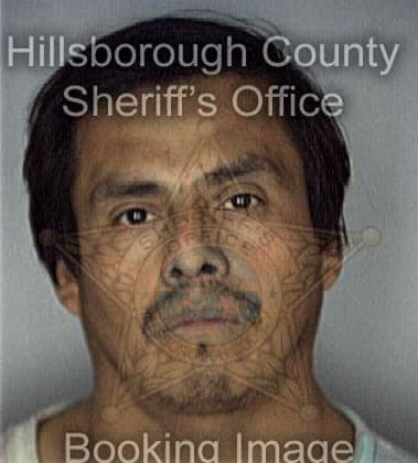 Nathaniel Staggs - Hillsborough County, FL 