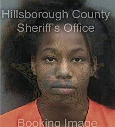 Vickeila Bryant, - Hillsborough County, FL 