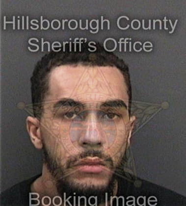 Francisco Cabrera, - Hillsborough County, FL 