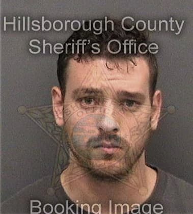 Faisal Farhan, - Hillsborough County, FL 