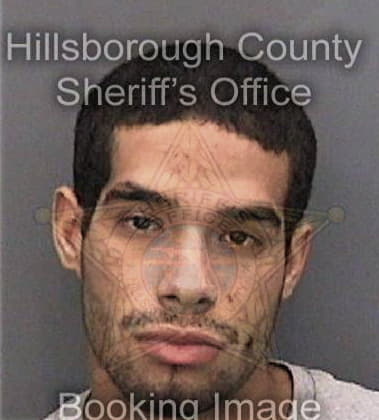 Alberto Lugo, - Hillsborough County, FL 