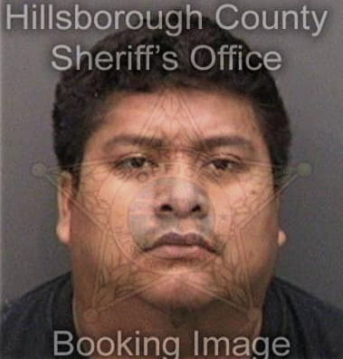 Salvador Martinez, - Hillsborough County, FL 