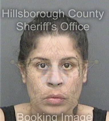 Andrea Mausser - Hillsborough County, FL 