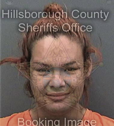 Bryan McClellan - Hillsborough County, FL 