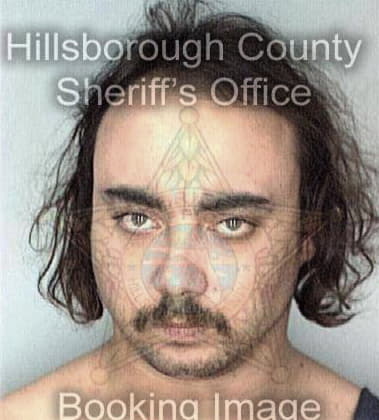 Francisco Paganroman, - Hillsborough County, FL 