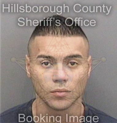 Ernesto Perezjaimez, - Hillsborough County, FL 