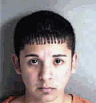 Mynor Ruano, - Sarasota County, FL 