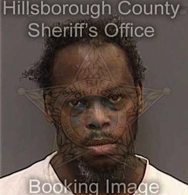 Jaleion Wilson, - Hillsborough County, FL 