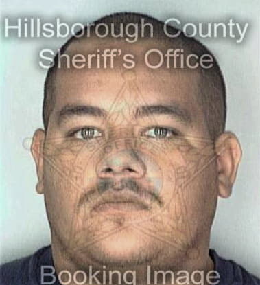 Oscar Benavides, - Hillsborough County, FL 