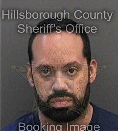 Elvis Deleon-Maldonado, - Hillsborough County, FL 