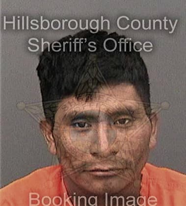 Kenneth Garcia, - Hillsborough County, FL 