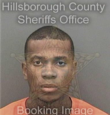 Joshua Mason, - Hillsborough County, FL 