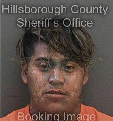 Zijad Nuhanovic, - Hillsborough County, FL 