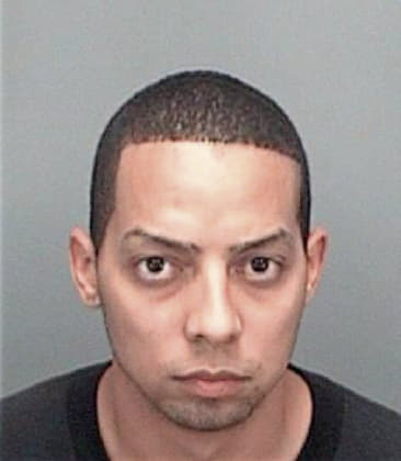 Sergio Sebastianreyes, - Pinellas County, FL 