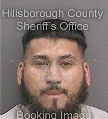 Ryan Clinton - Hillsborough County, FL 