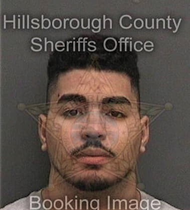 Michael Gaffney, - Hillsborough County, FL 