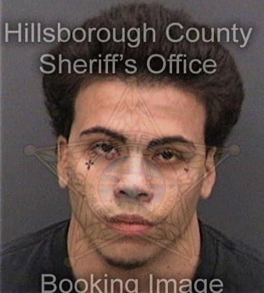 Michael Kuglin, - Hillsborough County, FL 