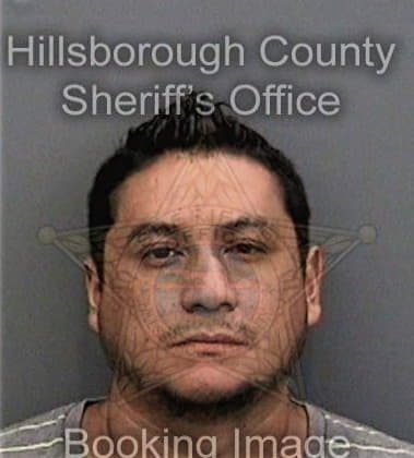 Oslenis Laobarrios, - Hillsborough County, FL 