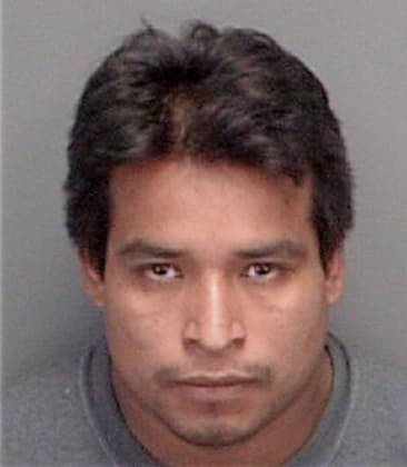 Johnny Montalvo, - Pinellas County, FL 