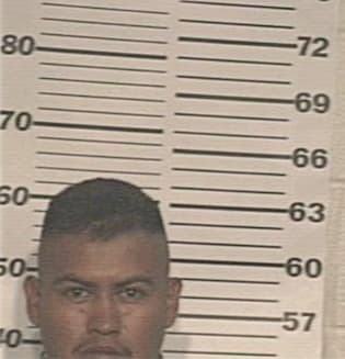 Isidro-Martinez Zavala, - Hidalgo County, TX 