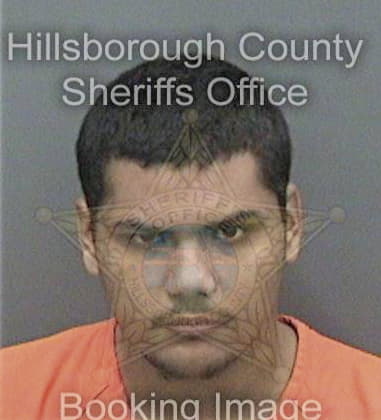 Michael Girardin, - Hillsborough County, FL 