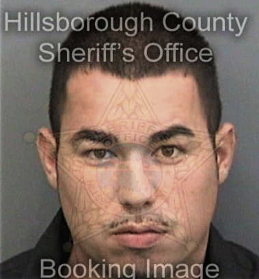 Louis Roule, - Hillsborough County, FL 