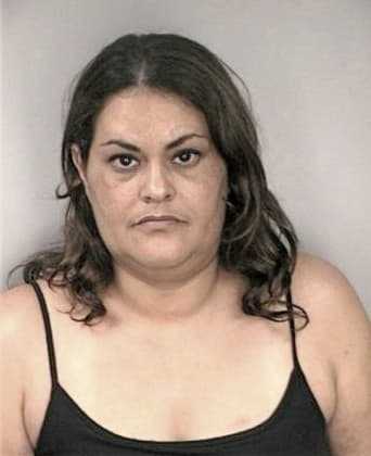 Brigette Boyer - Hillsborough County, FL 