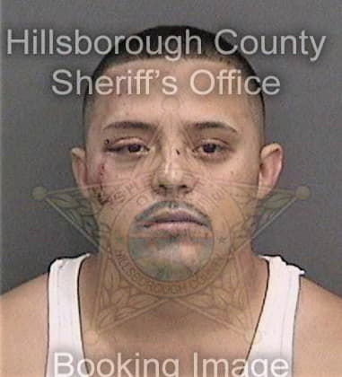 Jorge Celpa, - Hillsborough County, FL 