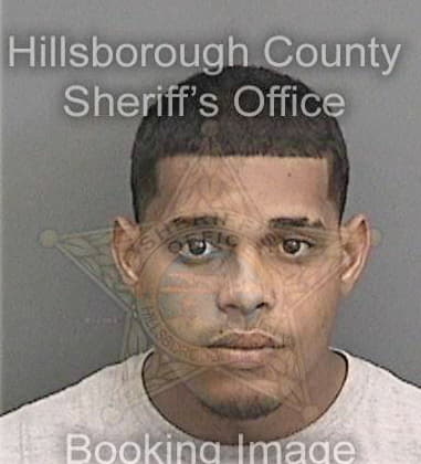 Michael Twisdale, - Hillsborough County, FL 