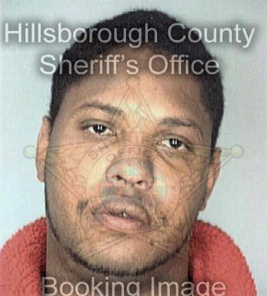 Darrell Wilson, - Hillsborough County, FL 