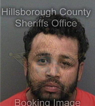 Luis Barriga-Sanchez, - Hillsborough County, FL 