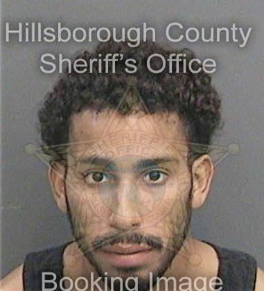 Luis Hernandez - Hillsborough County, FL 