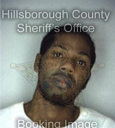 Andre Lowman, - Hillsborough County, FL 