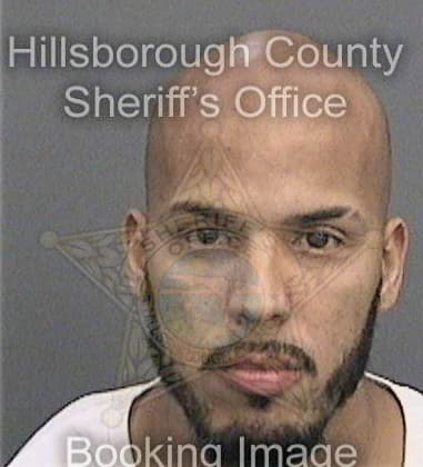 Michael Manis, - Hillsborough County, FL 