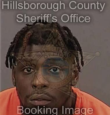 Lincoln Powell, - Hillsborough County, FL 