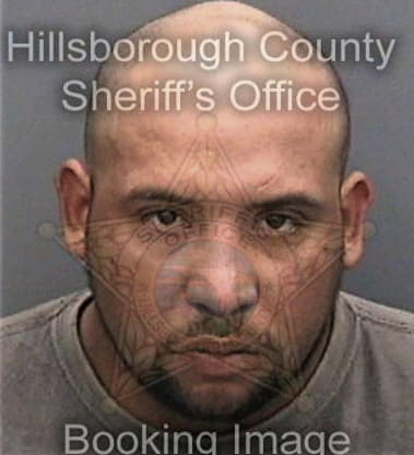 Christopher Steiner, - Hillsborough County, FL 