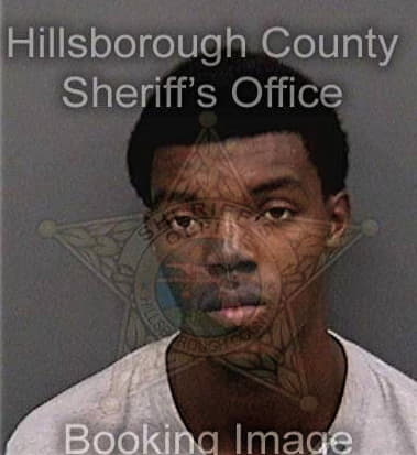 Issa Brinson - Hillsborough County, FL 