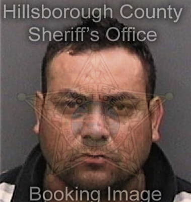 Josue Deleon, - Hillsborough County, FL 