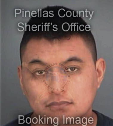 Victor Hernandez, - Pinellas County, FL 