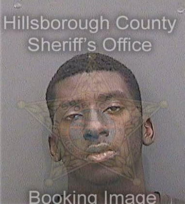 Hector Ortizrodriguez, - Hillsborough County, FL 