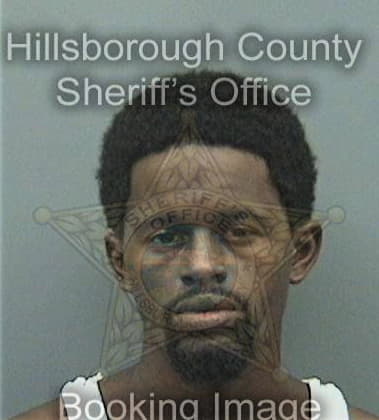 Dehaven Osley, - Hillsborough County, FL 