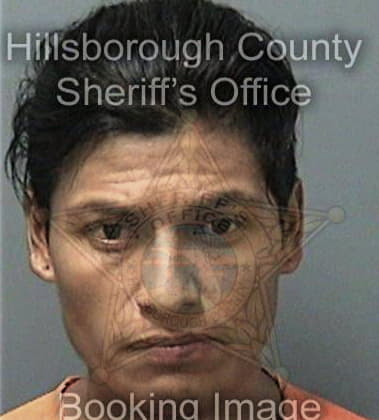 Wilfredo Sanchez, - Hillsborough County, FL 