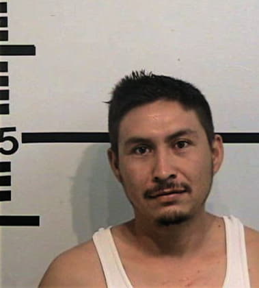 Roman-Cardenes Trevino, - Kerr County, TX 