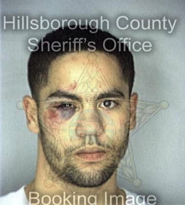 Michael Green - Hillsborough County, FL 
