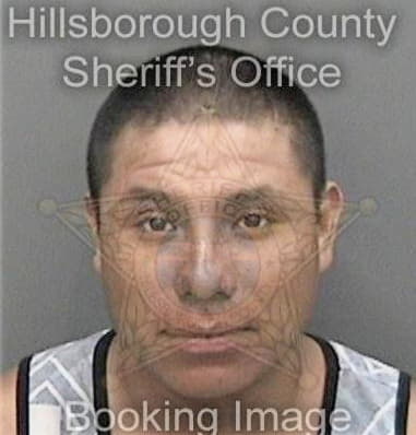 Luis Hernandeztorres - Hillsborough County, FL 