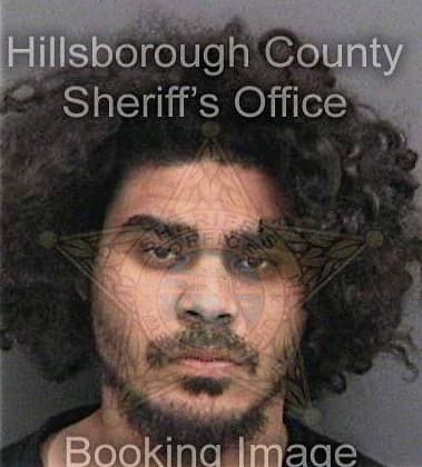 Armando Largelsoca, - Hillsborough County, FL 