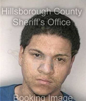 Kenneth Lopez, - Hillsborough County, FL 