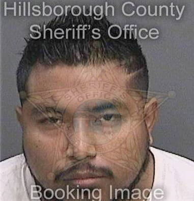 Jose Quinoes, - Hillsborough County, FL 